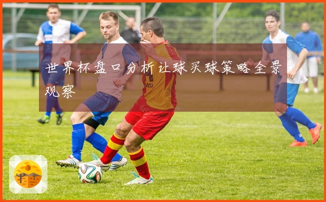 世界杯盘口分析让球买球策略全景观察