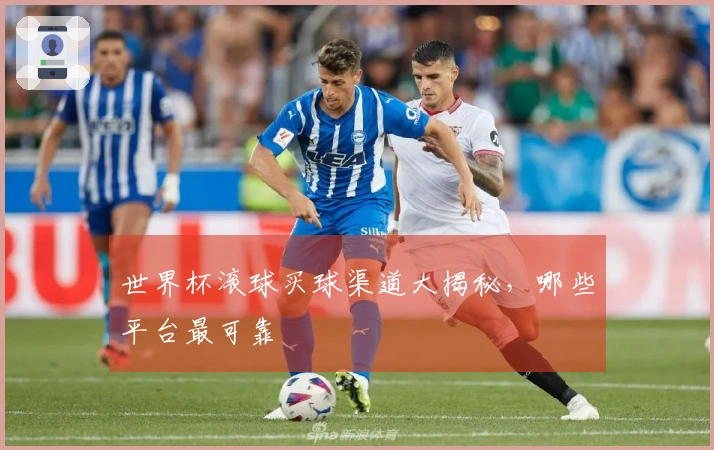 世界杯滚球买球渠道大揭秘,哪些平台最可靠