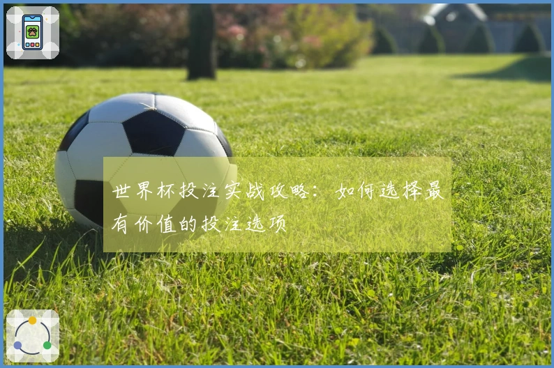世界杯投注实战攻略：如何选择最有价值的投注选项
