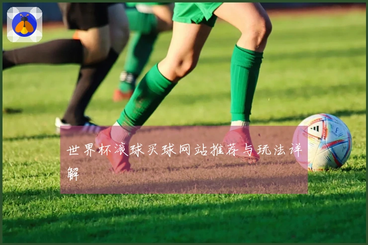 世界杯滚球买球网站推荐与玩法详解