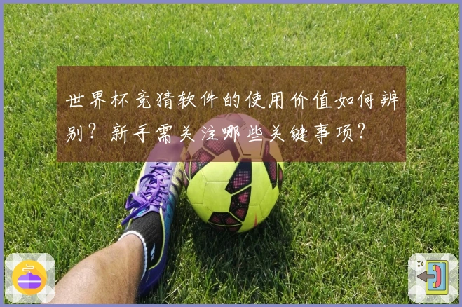 世界杯竞猜软件的使用价值如何辨别？新手需关注哪些关键事项？