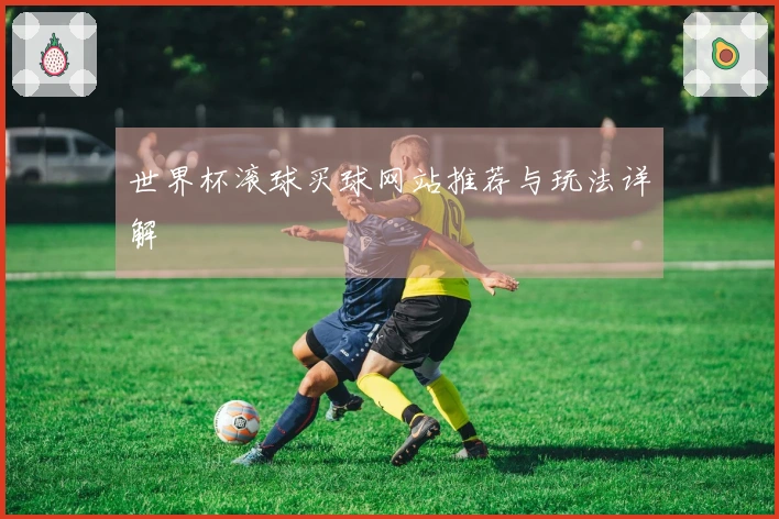 世界杯滚球买球网站推荐与玩法详解