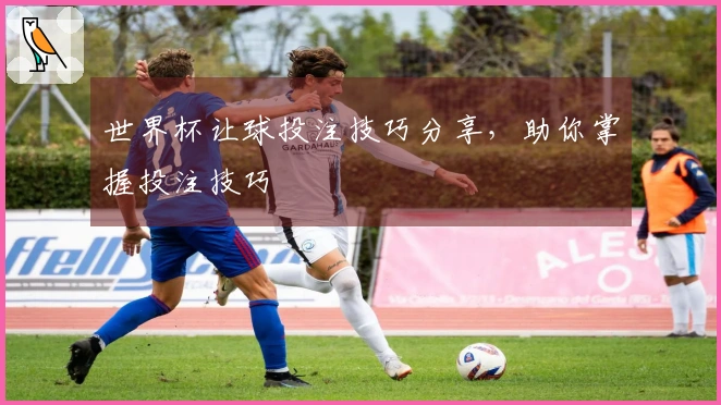 世界杯让球投注技巧分享，助你掌握投注技巧
