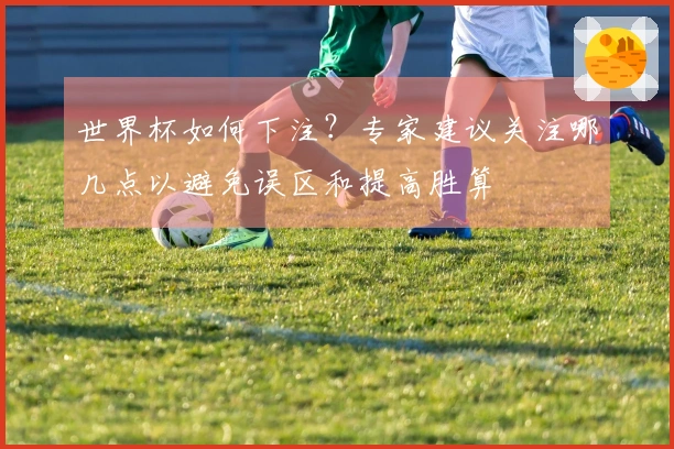 世界杯如何下注？专家建议关注哪几点以避免误区和提高胜算
