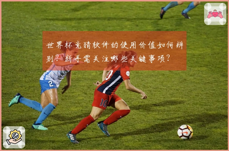 世界杯竞猜软件的使用价值如何辨别？新手需关注哪些关键事项？