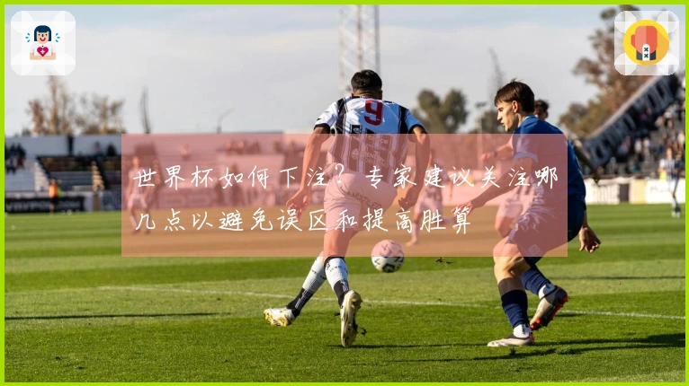 世界杯如何下注？专家建议关注哪几点以避免误区和提高胜算