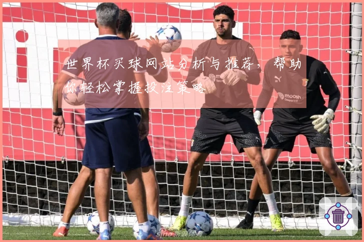 世界杯买球网站分析与推荐，帮助你轻松掌握投注策略