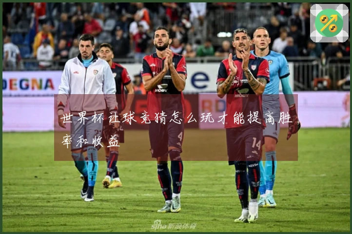 世界杯让球竞猜怎么玩才能提高胜率和收益