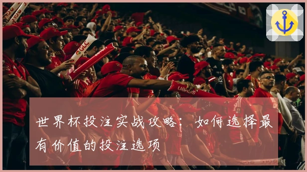 世界杯投注实战攻略:如何选择最有价值的投注选项